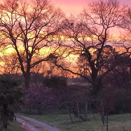 Vakantiehuis 2 A 5 Personnes Au Coeur De La Nature Heugas