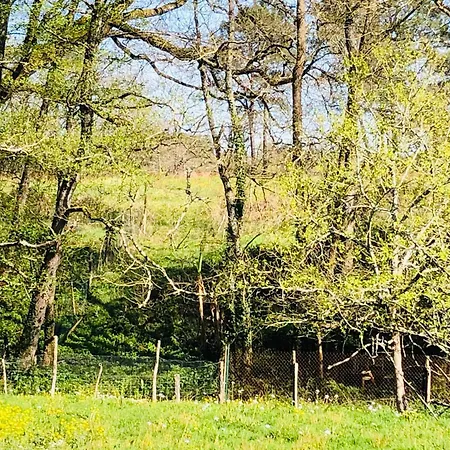 2 A 5 Personnes Au Coeur De La Nature
