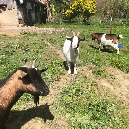 2 A 5 Personnes Au Coeur De La Nature *