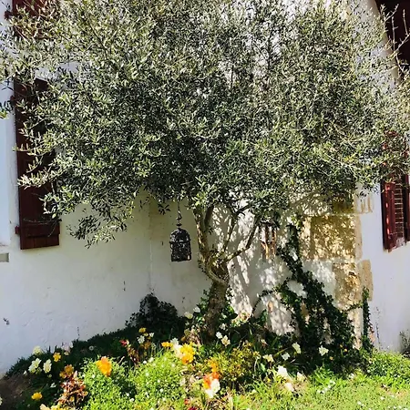Feriehus 2 A 5 Personnes Au Coeur De La Nature Heugas