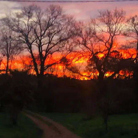 2 A 5 Personnes Au Coeur De La Nature Vakantiehuis