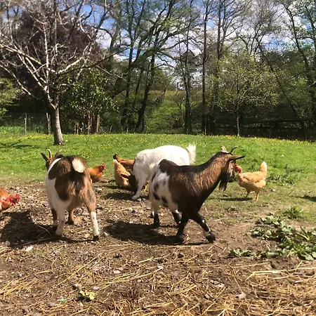 2 à 5 Personnes Au Coeur De La Nature *
