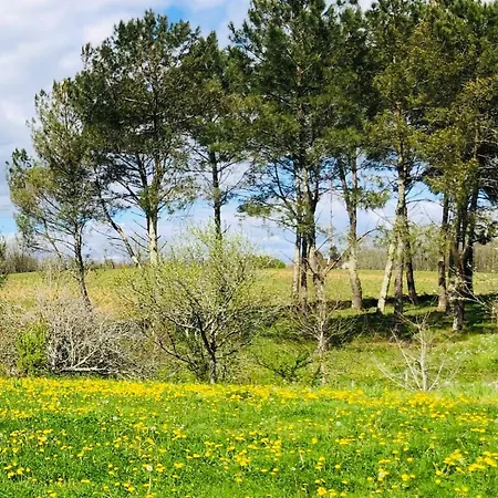 2 A 5 Personnes Au Coeur De La Nature *