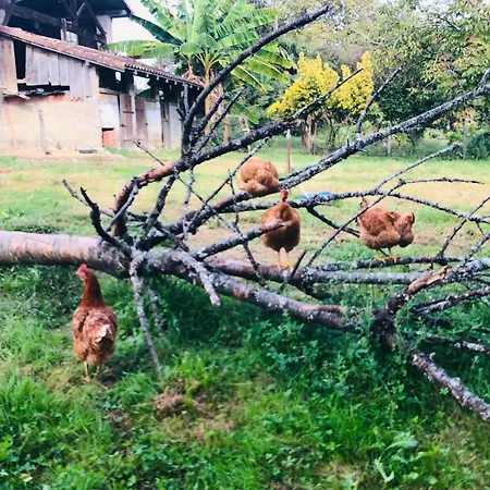2 A 5 Personnes Au Coeur De La Nature Vakantiehuis *