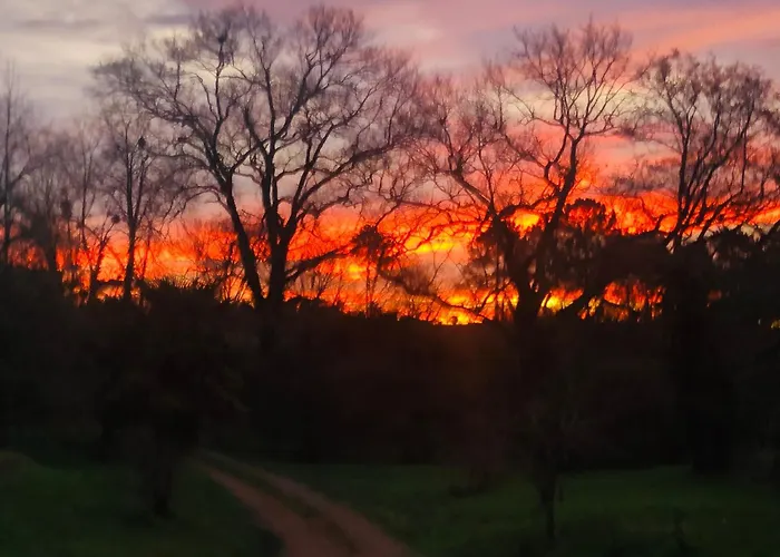 2 A 5 Personnes Au Coeur De La Nature 度假居